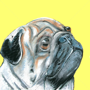 Drawing titled ""Pug " A Limited Ed…" by Jb Studio, Original Artwork, Charcoal