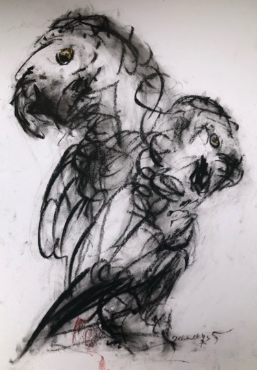 Dibujo titulada "Perroquets gris du…" por Jc Desmerges, Obra de arte original, Carbón