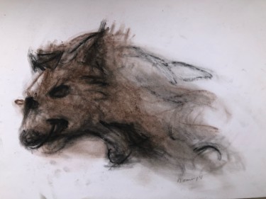 「Hyène de Mikumi」というタイトルの描画 Jc Desmergesによって, オリジナルのアートワーク, 木炭
