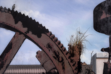 Photographie intitulée "La roue et l'oiseau" par Jean-Christophe Mandelli, Œuvre d'art originale, Photographie numérique