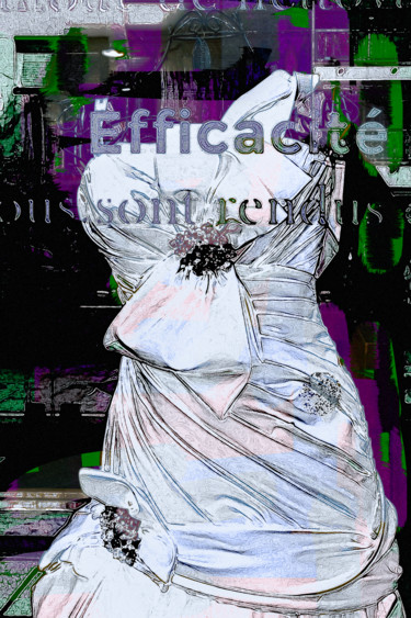 Photography titled "Robe-efficacité" by Jean-Christophe Mandelli, Original Artwork, Digital Photography