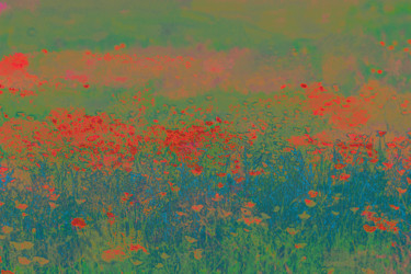 Photographie intitulée "Prairie Bleu rouge…" par Jean-Christophe Mandelli, Œuvre d'art originale, Photographie numérique