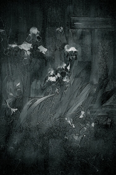 Photographie intitulée "Gravure de Fleurs" par Jean-Christophe Mandelli, Œuvre d'art originale, Photographie numérique