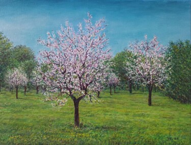 Schilderij getiteld "Almond trees" door José A Cavaco, Origineel Kunstwerk, Olie