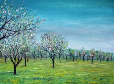Malerei mit dem Titel "almond-trees-field.…" von José A Cavaco, Original-Kunstwerk, Öl