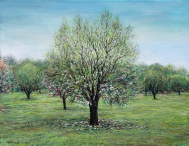Pintura intitulada "almond tree-26216.j…" por José A Cavaco, Obras de arte originais, Óleo