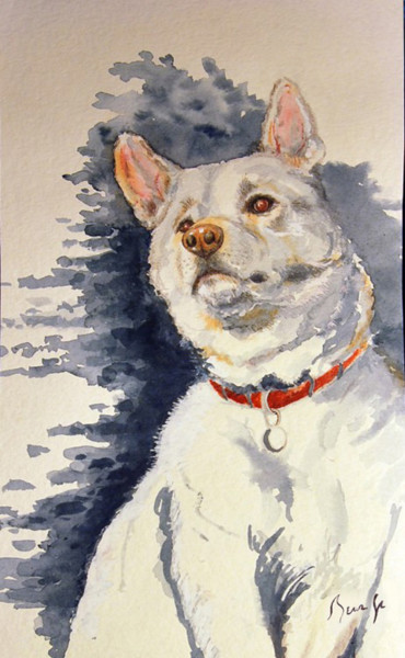 Peinture intitulée "Akita-inu" par Jean-Claude Beuzard, Œuvre d'art originale, Aquarelle