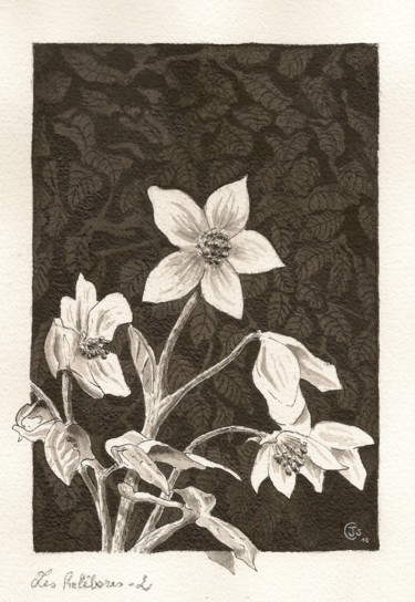 Les hélébores-2 Dessin intitulée "Les hélébores-2" par Jean-Christophe Sylvos, Œuvre d'art originale, Encre