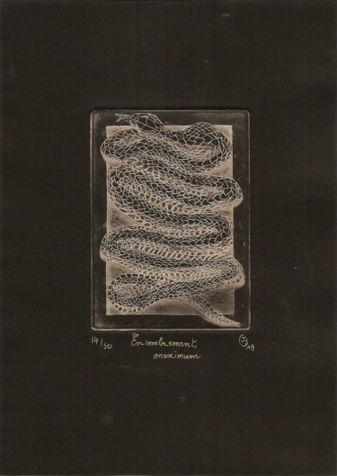 Druckgrafik mit dem Titel "Encombrement maximum" von Jean-Christophe Sylvos, Original-Kunstwerk, Gravur