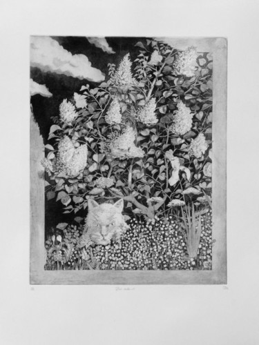 Gravures & estampes intitulée "Hors cadre-1" par Jean-Christophe Sylvos, Œuvre d'art originale, Gravure