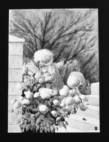Dibujo titulada "Hortensias et un rh…" por Jean-Christophe Sylvos, Obra de arte original, Tinta