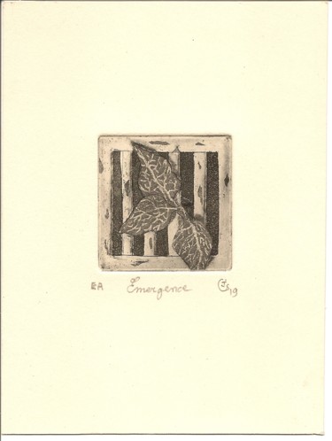 Emergence Printmaking titled "Emergence" by Jean-Christophe Sylvos, Original Art, Engraving