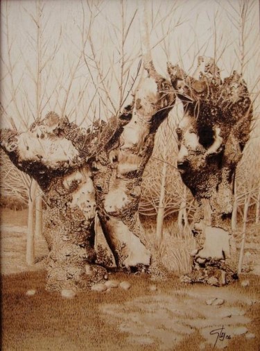 Artesanía titulada "Paisaje de Galápago…" por Juan Carlos Gonzalez, Obra de arte original