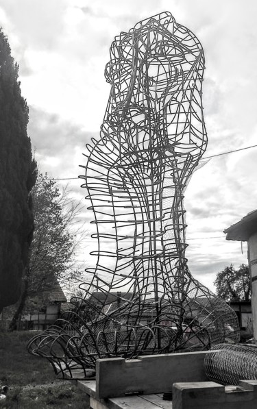 Sculpture intitulée "img-20171102-105624…" par Christian Lallemand, Œuvre d'art originale