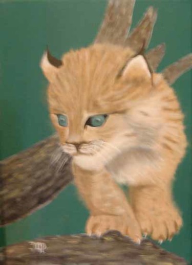 Peinture intitulée "Bébé lynx" par Jacques Copp, Œuvre d'art originale