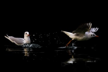 Fotografia zatytułowany „Et reviens avec du…” autorstwa Jean Charles Ouvrard, Oryginalna praca, Fotografia cyfrowa