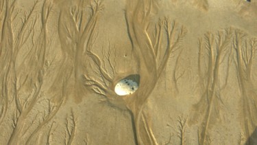 Photographie intitulée "Sur la plage n°3" par Le Livreur De Chats, Œuvre d'art originale