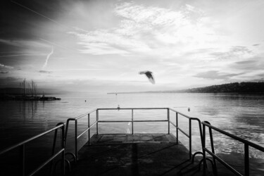 Photographie intitulée "Pigeon vole" par Jean-Baptiste Bucau, Œuvre d'art originale, Photographie numérique
