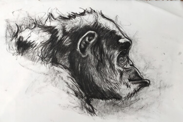 Dessin intitulée "Portrait de chimpan…" par Jean-Baptiste De Poret, Œuvre d'art originale, Fusain