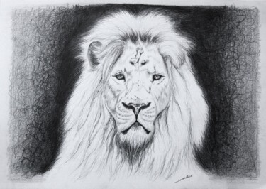 Drawing titled "Dessin de Lion fond…" by Jean-Baptiste De Poret, Original Artwork, Pencil