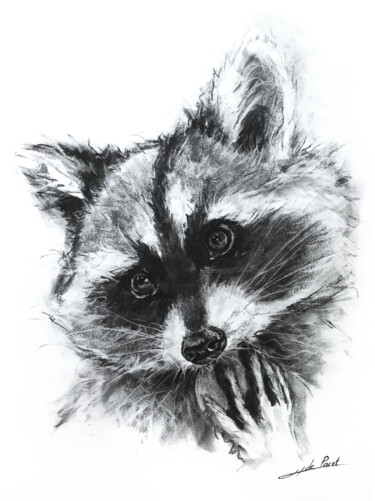 Dessin intitulée "Tito the Raccoon" par Jean-Baptiste De Poret, Œuvre d'art originale, Fusain