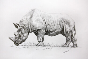 Drawing titled "Dessin de rhinoceros" by Jean-Baptiste De Poret, Original Artwork, Pencil