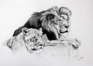 Disegno intitolato "Lion, Lionne à l'af…" da Jean-Baptiste De Poret, Opera d'arte originale, Matita