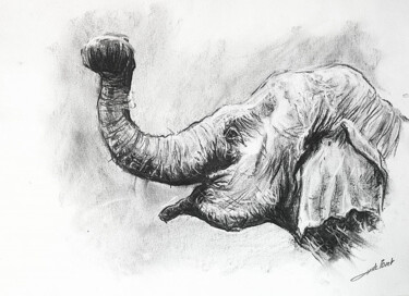 Dessin intitulée "Elephant profil" par Jean-Baptiste De Poret, Œuvre d'art originale, Fusain
