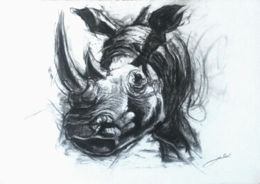Tekening getiteld "Rhinocéros moderne" door Jean-Baptiste De Poret, Origineel Kunstwerk, Houtskool