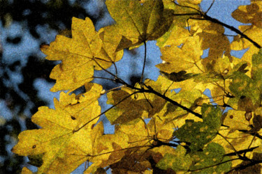 Photographie intitulée "Couleurs d'automne 1" par Imagelys Photographie, Œuvre d'art originale, Photographie numérique