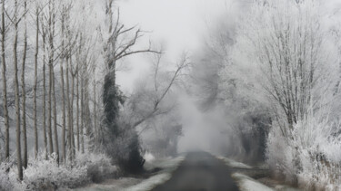 Fotografia intitulada "chemin de brume" por Jean Christophe Sanz, Obras de arte originais, Fotografia digital