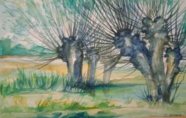 Dessin intitulée "Les saules du marais" par Jean-Claude Bemben, Œuvre d'art originale, Aquarelle