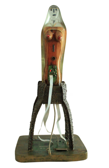 Skulptur mit dem Titel "ENET  Déesse de la…" von Jean Claude Causse, Original-Kunstwerk, Holz