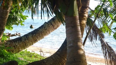 Photographie intitulée "Tropique en pirogue" par Slydes, Œuvre d'art originale, Photographie numérique
