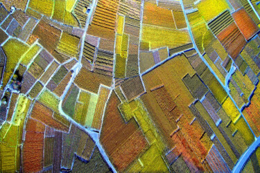 Photography titled "Vignes en automne" by Jean-Claude Mathier, Original Artwork, Non Manipulated Photography