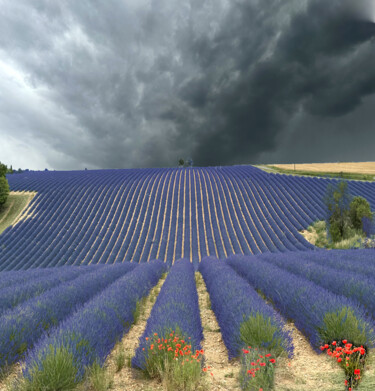 Digitale Kunst getiteld "Lavande sur un ciel…" door Jean-Claude Mathier, Origineel Kunstwerk, Digitale fotografie