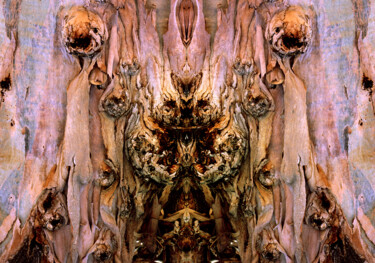 Fotografía titulada "Décors d'eucalyptus" por Jean-Claude Mathier, Obra de arte original, Fotografía digital