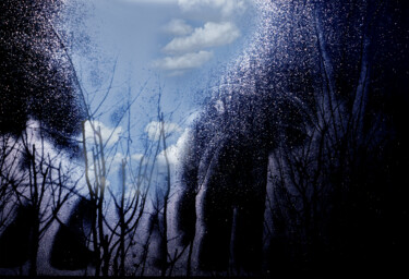 Photographie intitulée "Sobriété hivernale" par Jean-Claude Mathier, Œuvre d'art originale, Photographie argentique