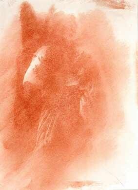 Fotografía titulada "brouillard flamenco" por Jean Claude Nougaret, Obra de arte original