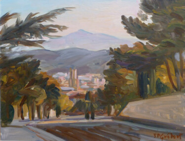 Pintura titulada "Vue sur Aix en Prov…" por Jean-François Grébert, Obra de arte original