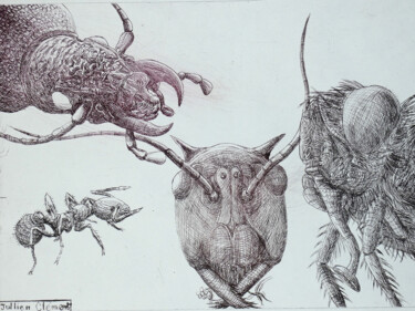Printmaking titled "La petite fourmi" by Jean-François Jullien, Original Artwork, Engraving