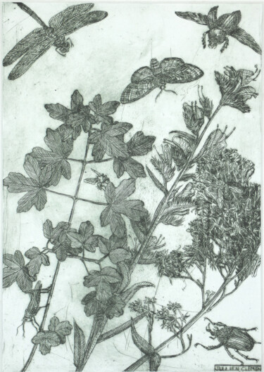 Printmaking titled "Plante et insectes" by Jean-François Jullien, Original Artwork, Engraving