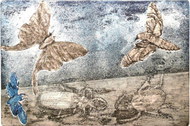 Printmaking titled "Planche entomologiq…" by Jean-François Jullien, Original Artwork, Engraving