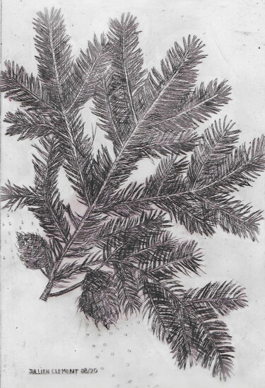 Printmaking titled "Branches d'épicéas" by Jean-François Jullien, Original Artwork, Engraving