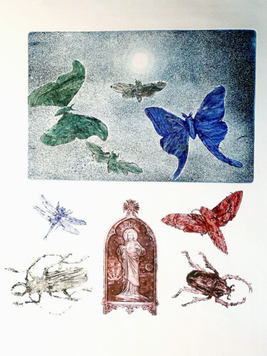 Impressões e gravuras intitulada "Insectes et créateur" por Jean-François Jullien, Obras de arte originais, Gravação
