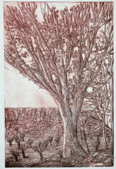 Estampas & grabados titulada "Chêne blanc en hive…" por Jean-François Jullien, Obra de arte original, Grabado