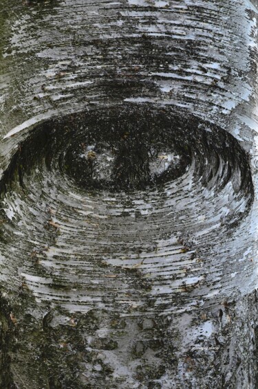Photographie intitulée "Le mauvais œil" par Jean-Guy Alarie, Œuvre d'art originale, Photographie non manipulée
