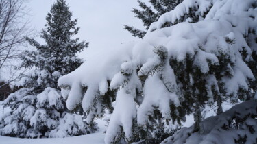 Photographie intitulée "Joyeux hiver" par Jean-Guy Alarie, Œuvre d'art originale, Photographie non manipulée