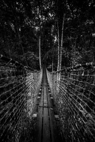 Fotografía titulada "Pont suspendu" por Jean-Guy Nakars, Obra de arte original, Fotografía digital