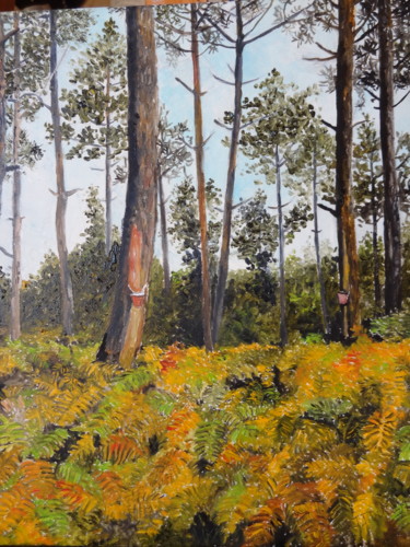 Peinture intitulée "Les grands pins" par Jean Jacques Ducom, Œuvre d'art originale, Huile